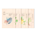 Beauty Masks Pack